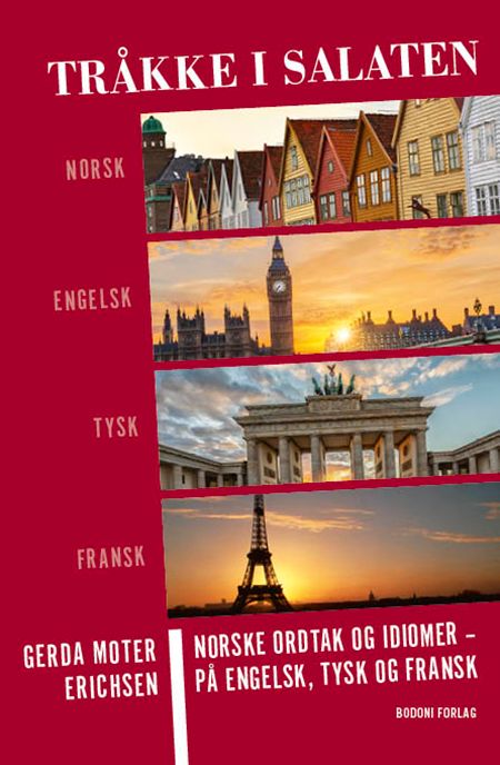 Tråkke i salaten = Put one's foot in it = Ins Fettnäpfchen treten = Mettre les pieds dans lep lat - norske ordtak og idiomer - på engelsk tysk og fransk