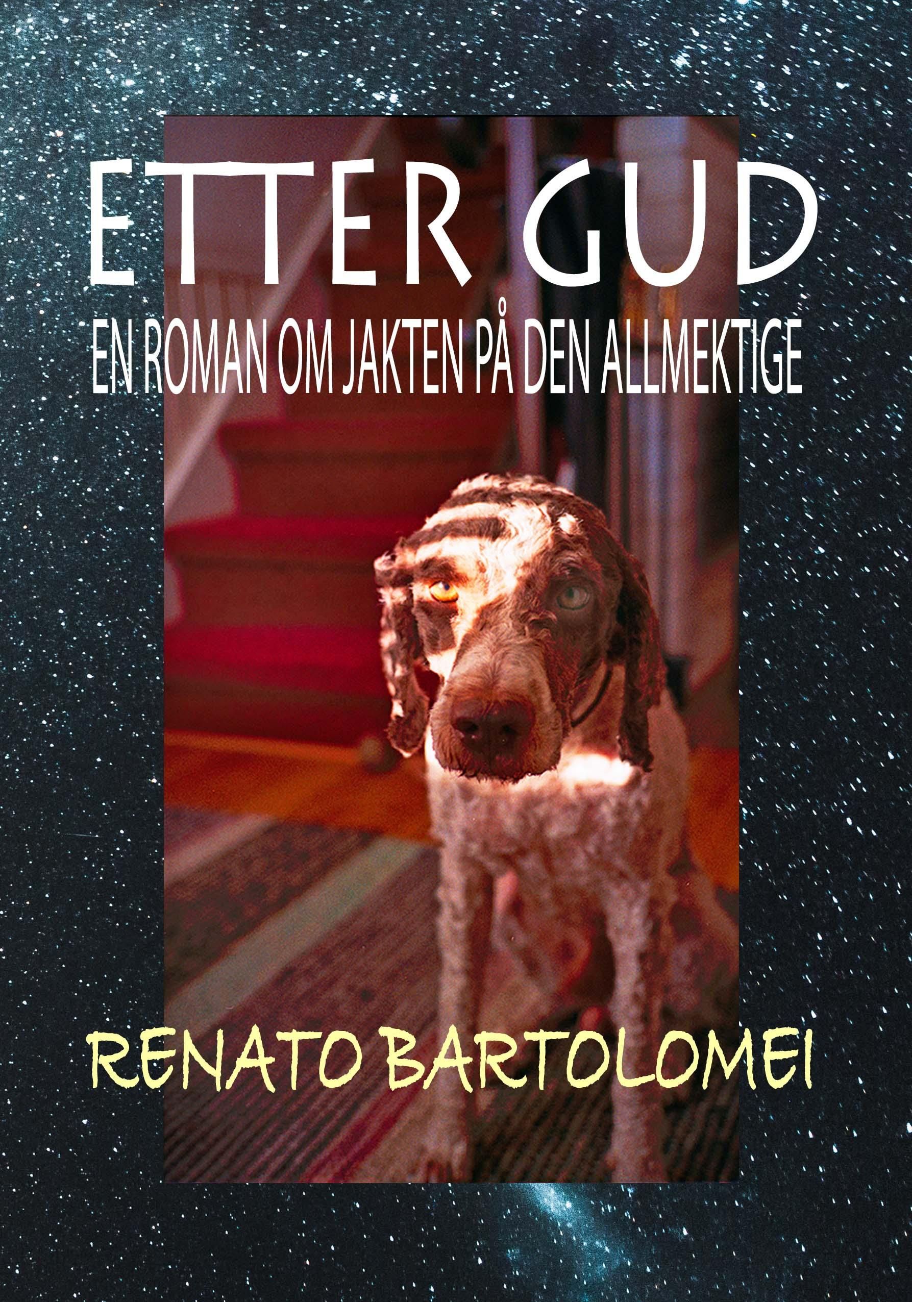 Etter Gud - en roman om jakten på Gud