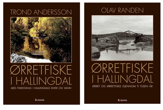 Ørretfiske i Hallingdal