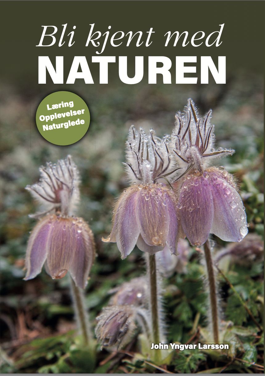 Bli kjent med naturen