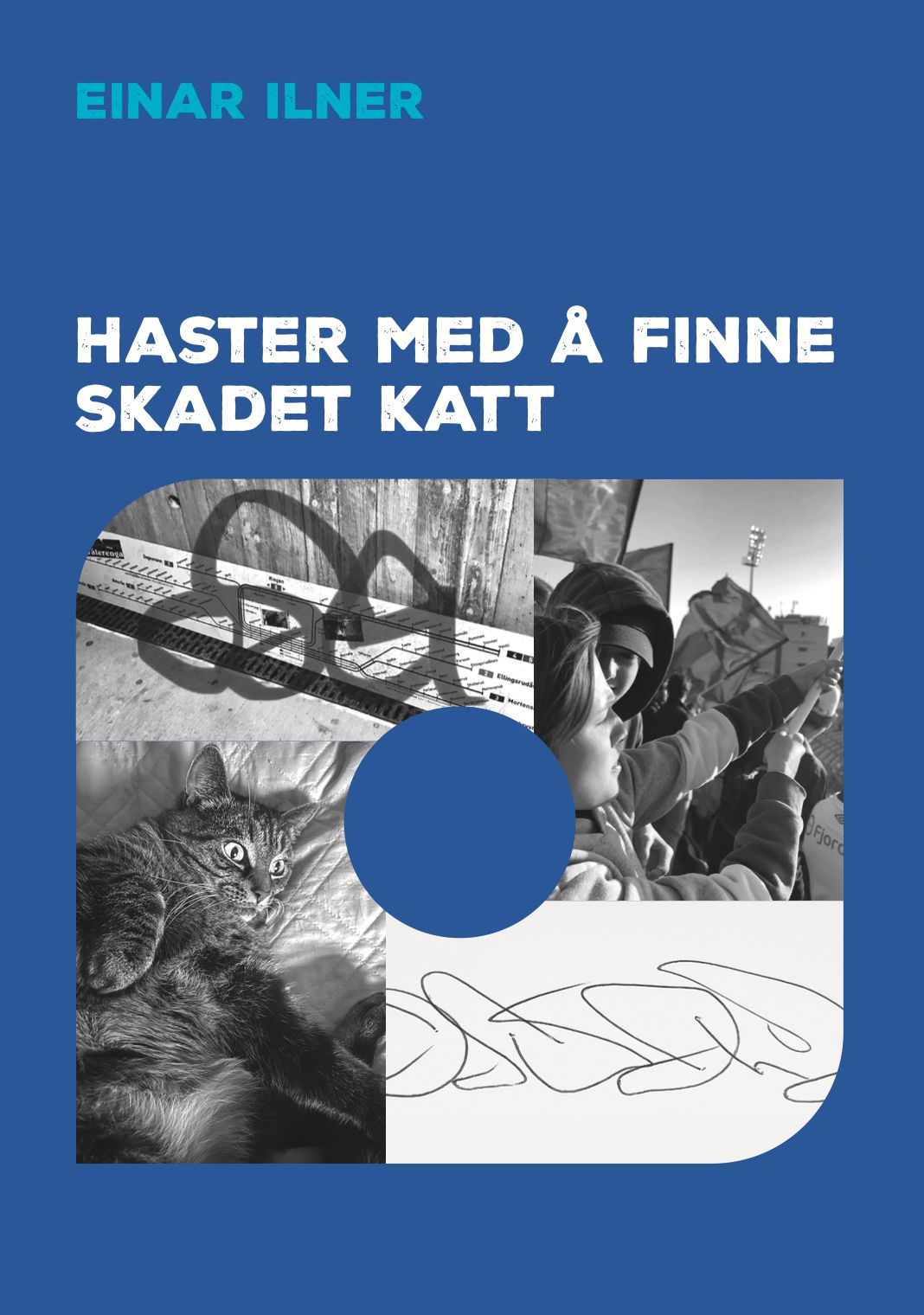 Haster med å finne skadet katt