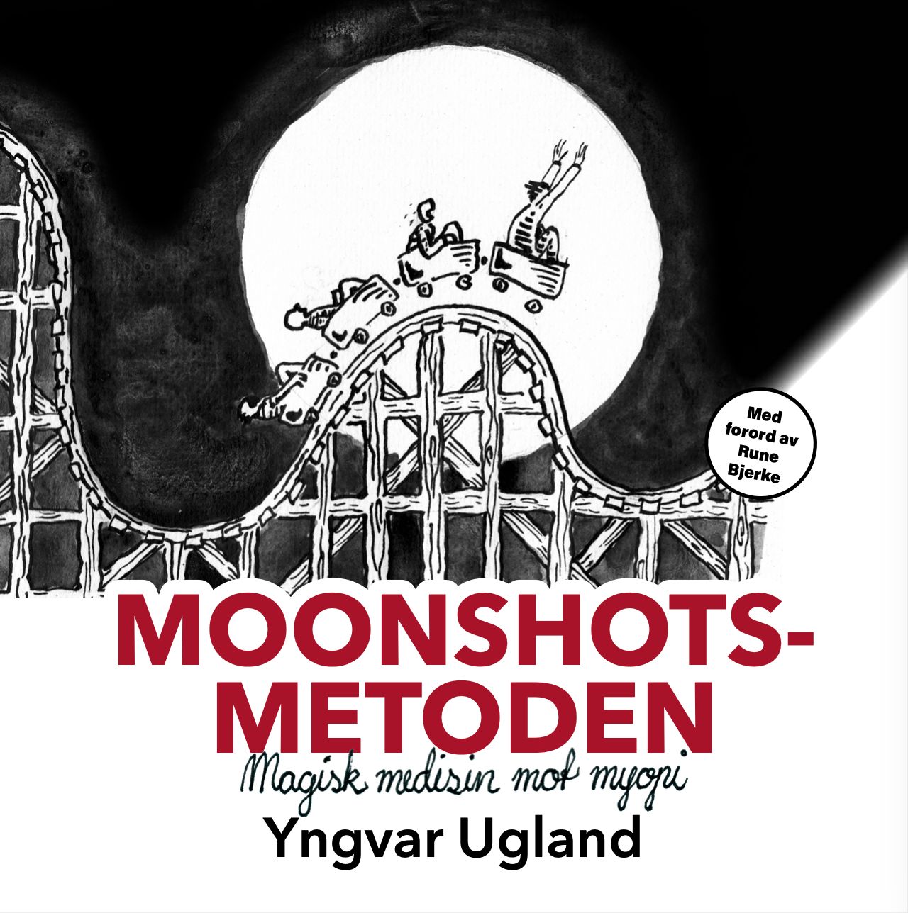 Moonshots-metoden