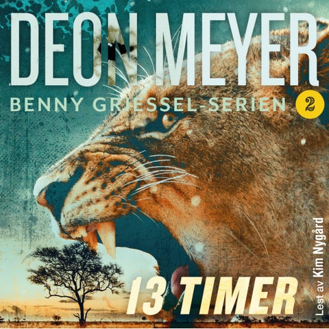 13 timer