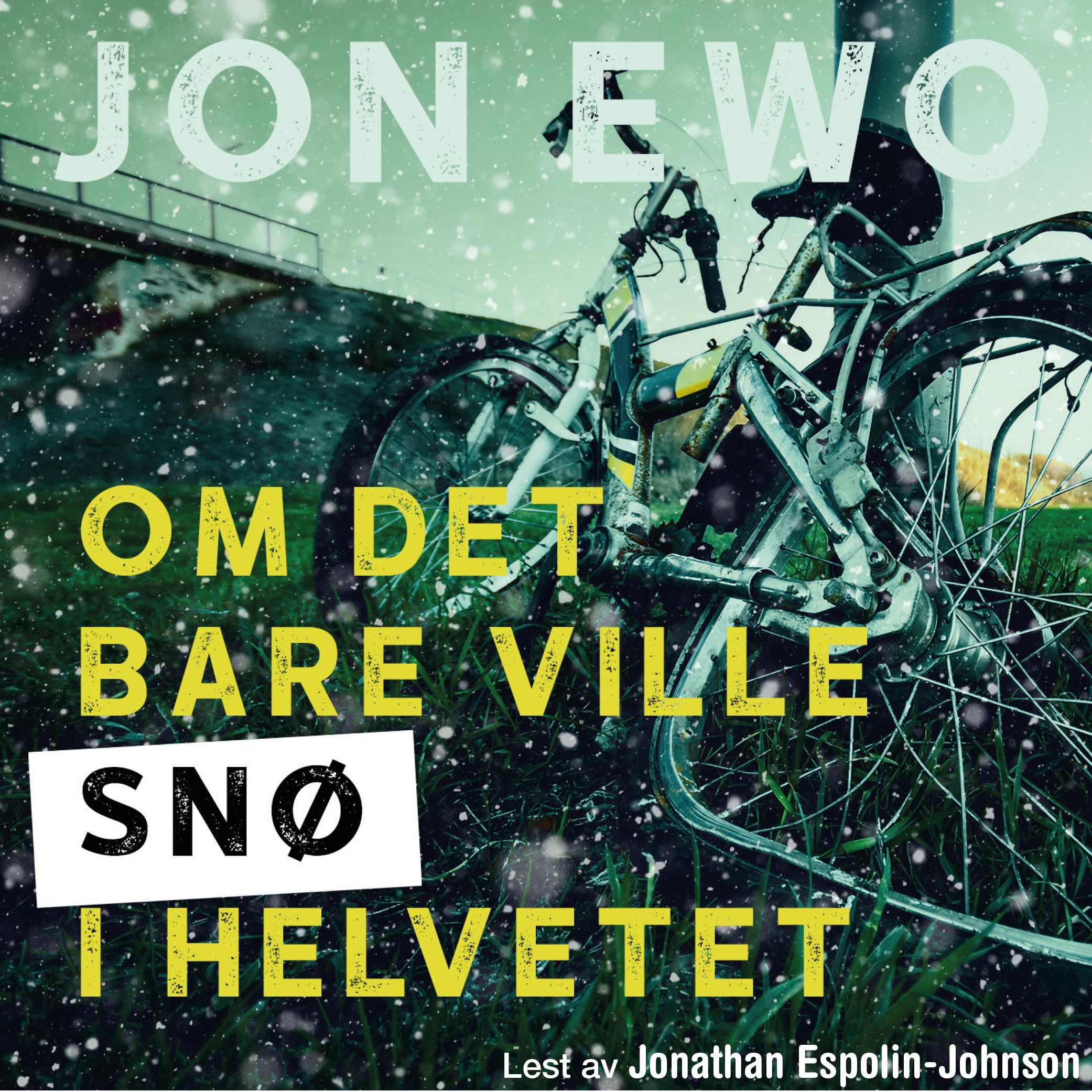 Om det bare ville snø i helvetet - en fortelling om de små sakene i livet