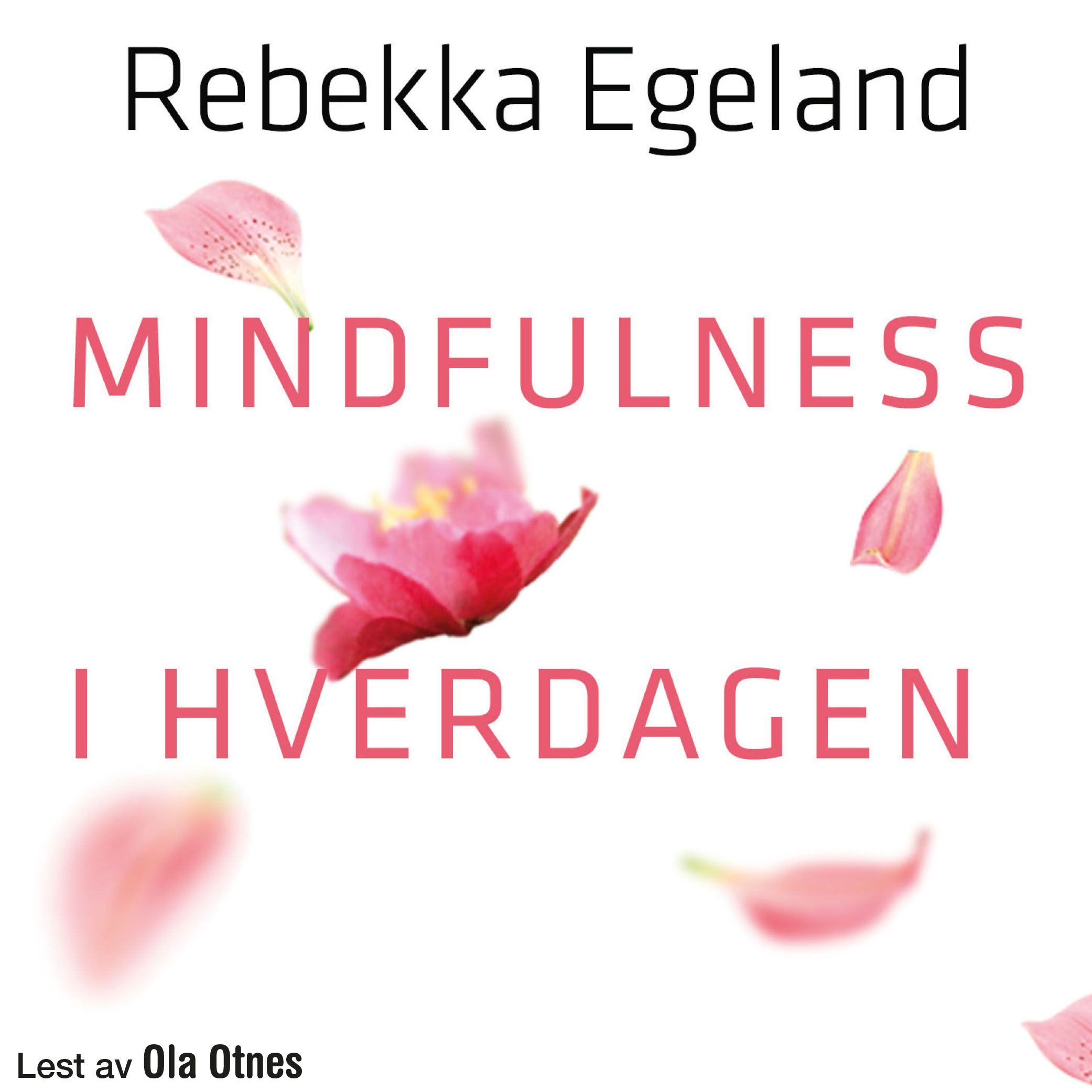 Mindfulness i hverdagen - lev livet nå