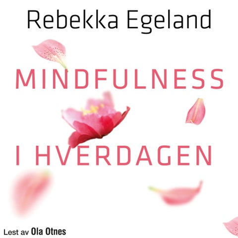 Mindfulness i hverdagen - lev livet nå