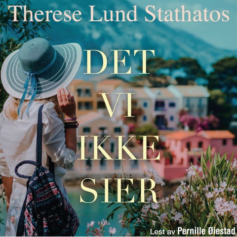 Det vi ikke sier - en roman