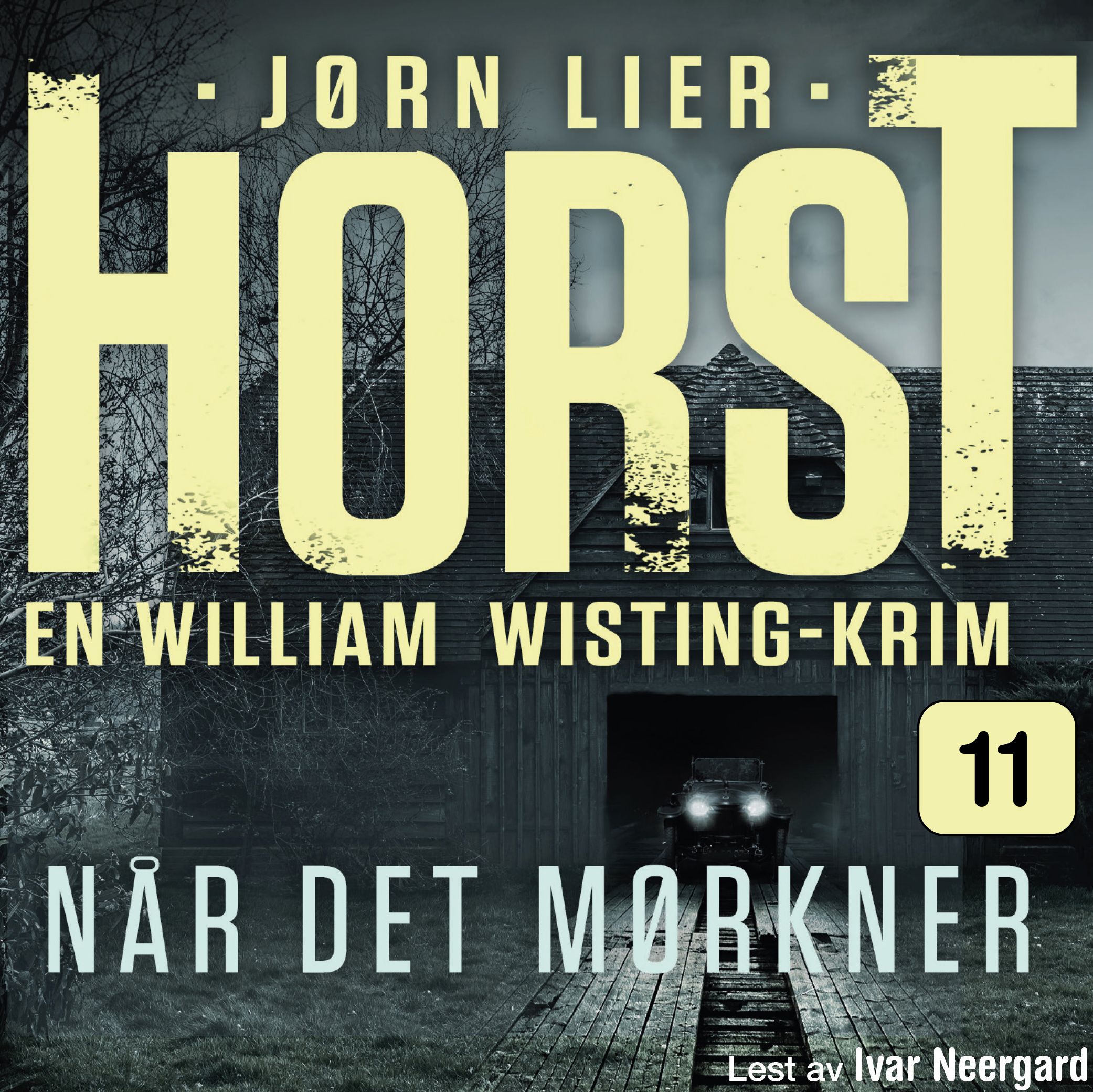 Når det mørkner - kriminalroman