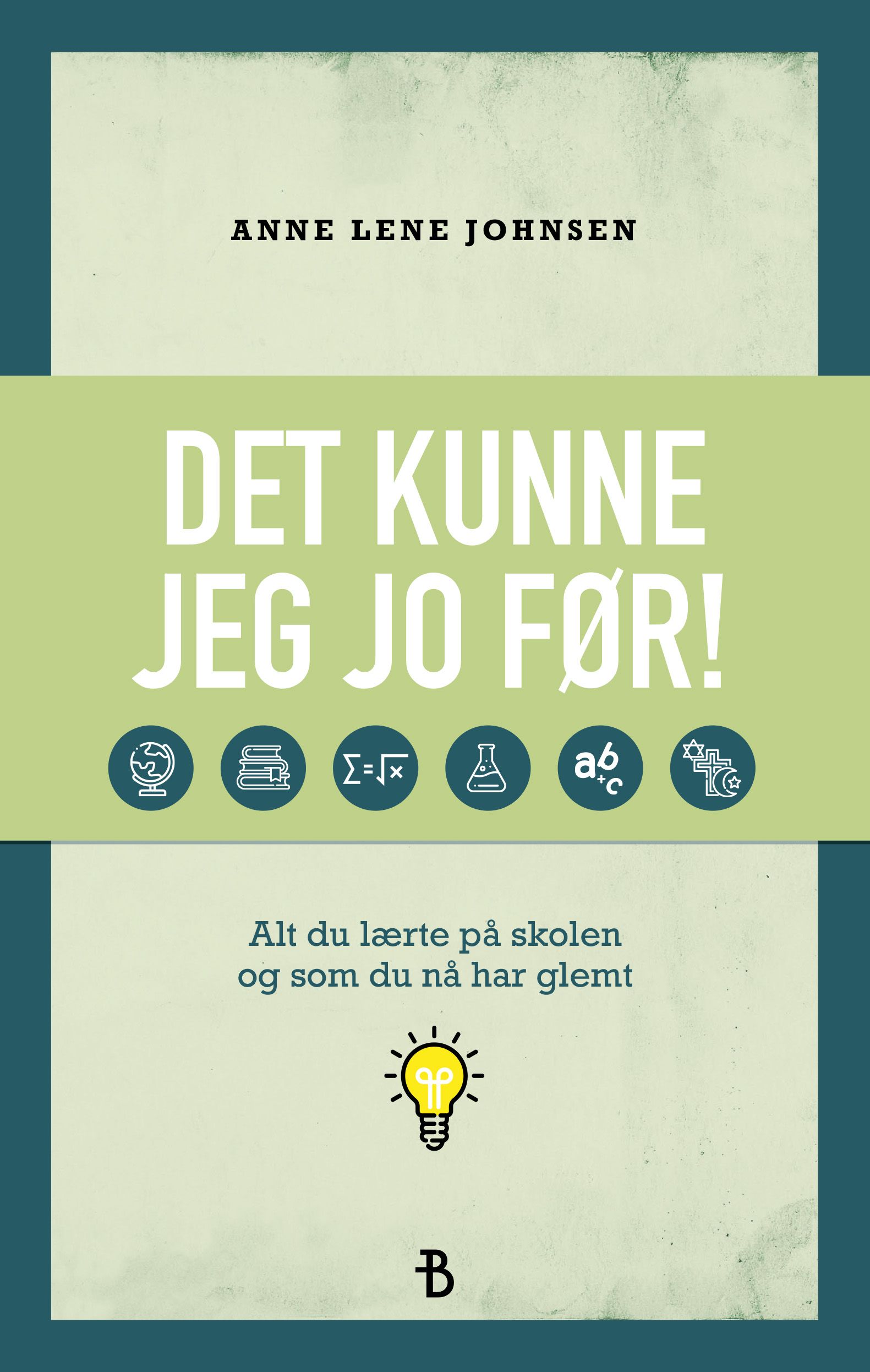 Det kunne jeg jo før! - alt du lærte på skolen og som du nå har glemt