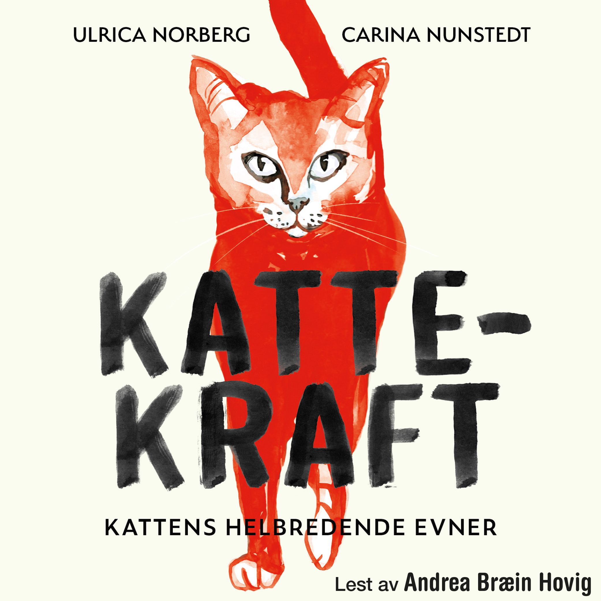 Kattekraft - kattens helbredende evner