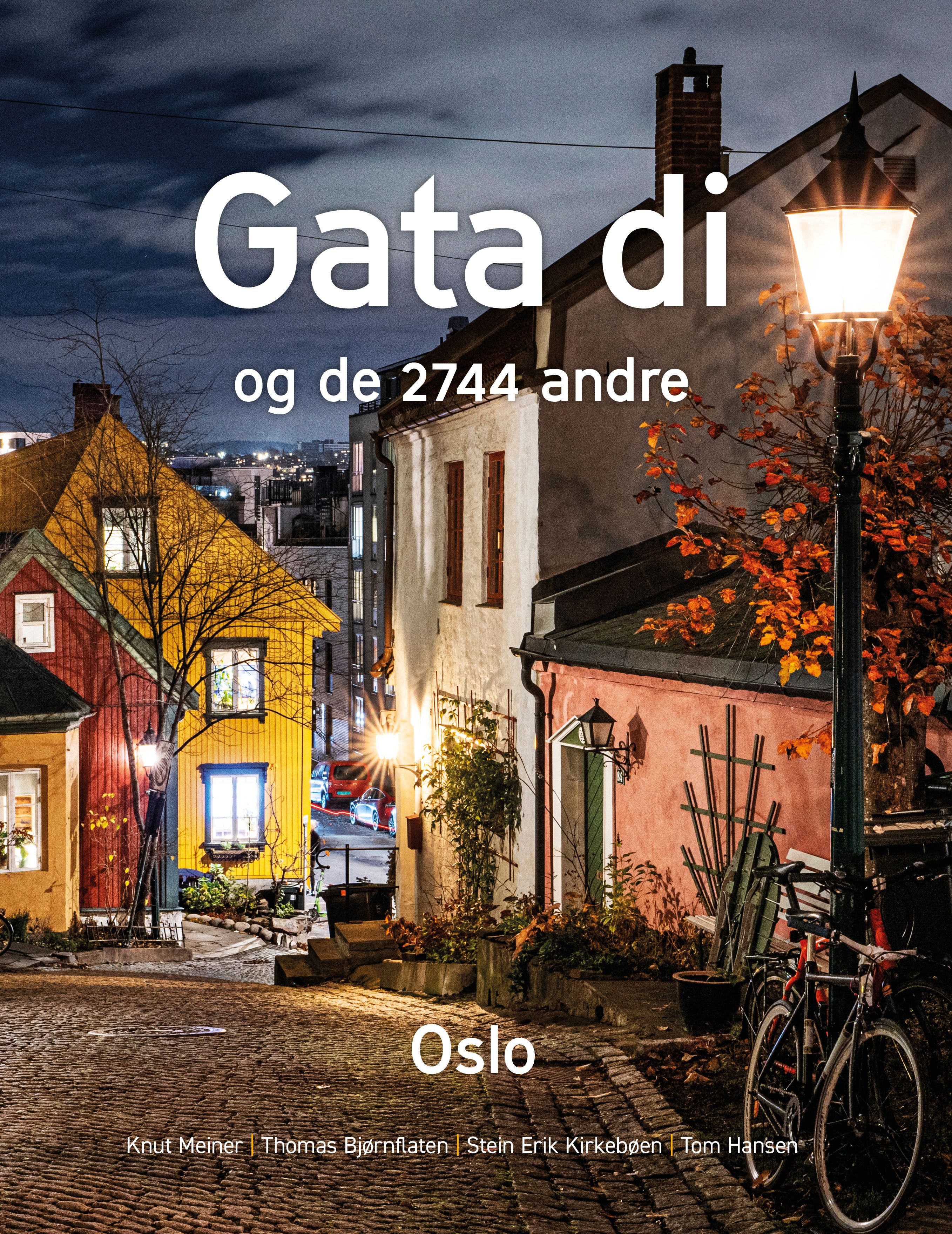 Gata di - og de 2744 andre : Oslo