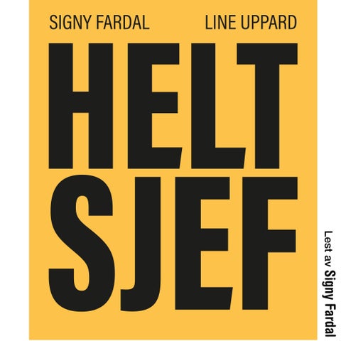 Helt sjef - om kvinner og ledelse og veien til toppen