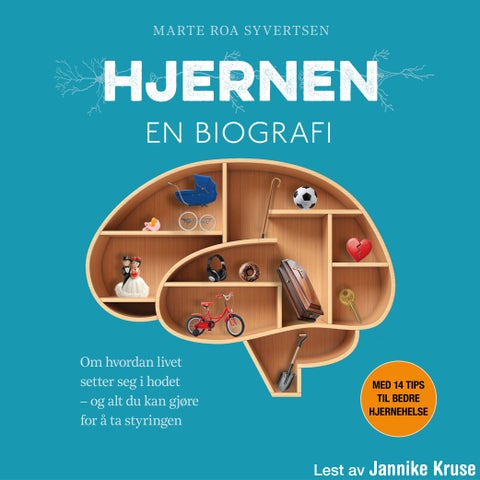 Hjernen - en biografi