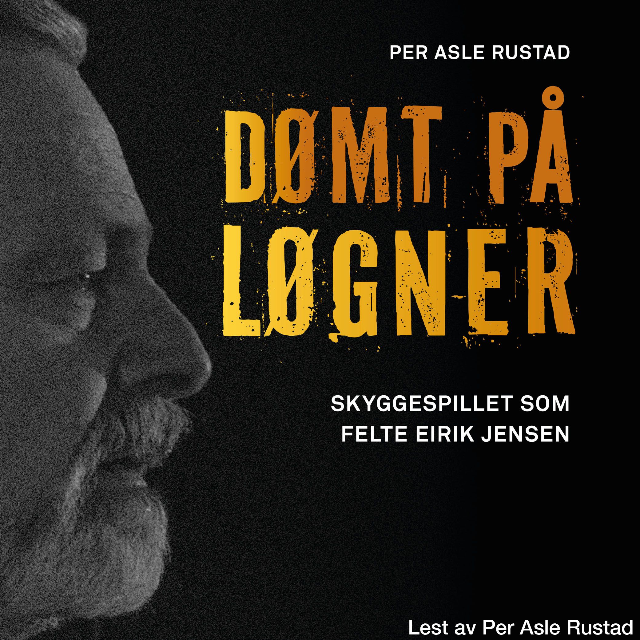 Dømt på løgner