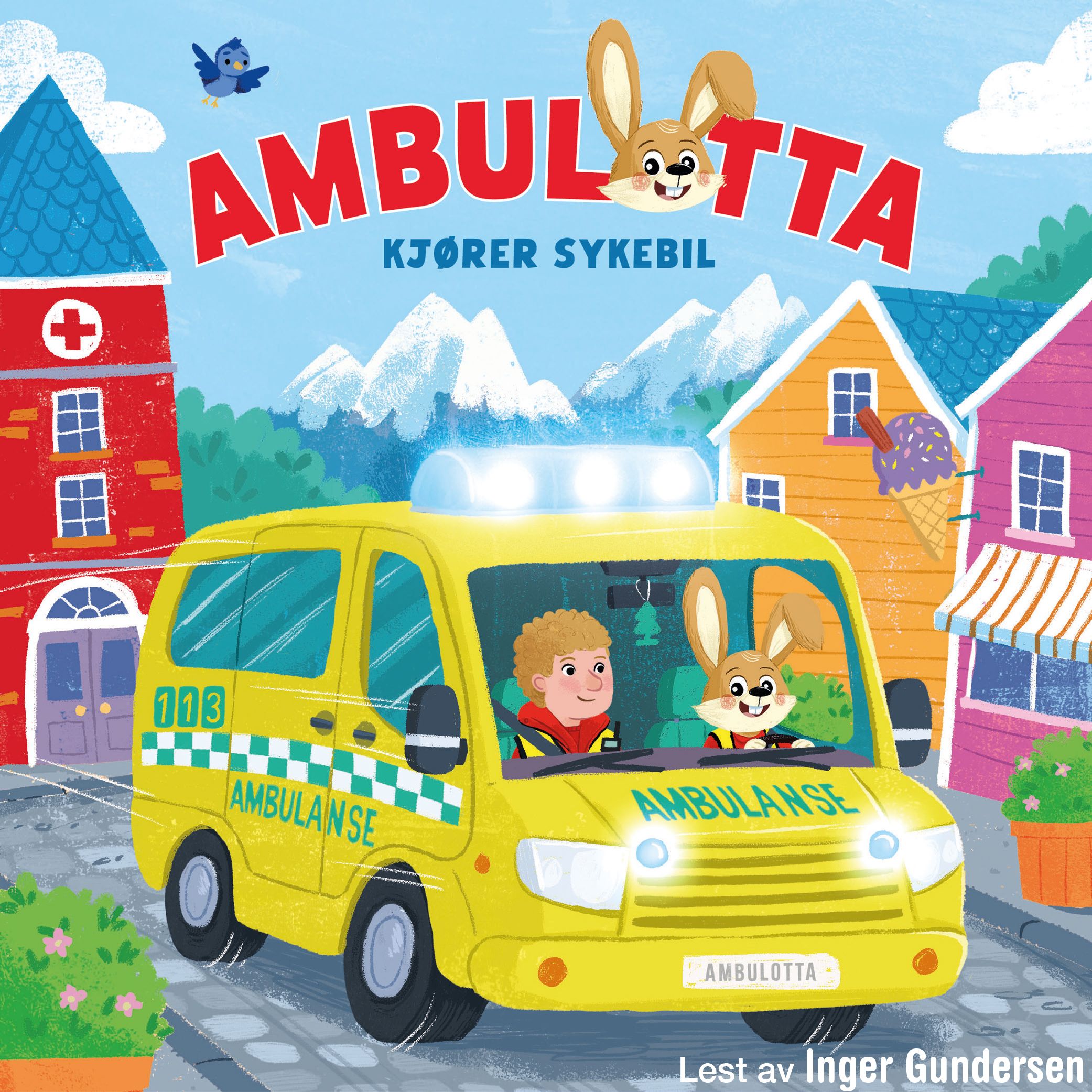 Ambulotta kjører sykebil