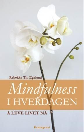Mindfulness i hverdagen - lev livet nå