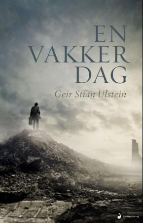 En vakker dag - roman
