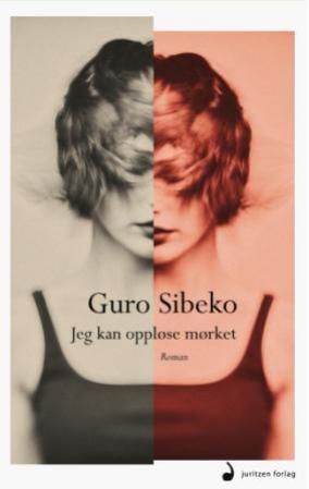 Jeg kan oppløse mørket - roman