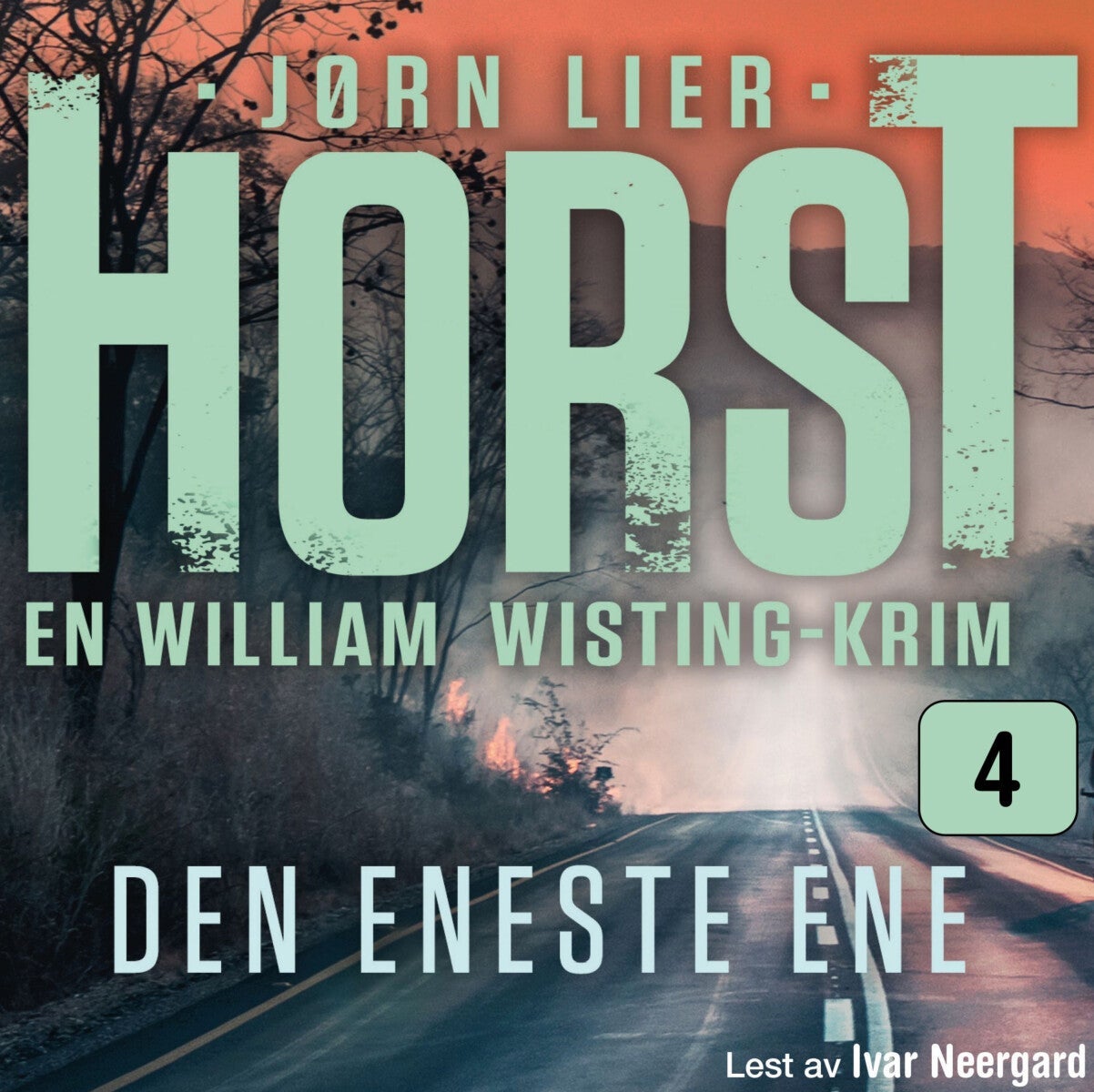 Den eneste ene