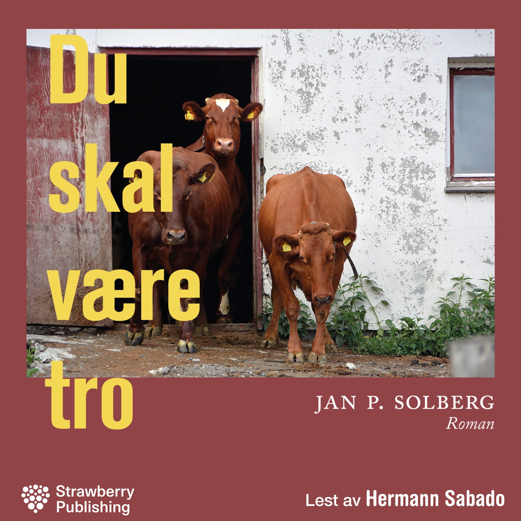 Du skal være tro - roman