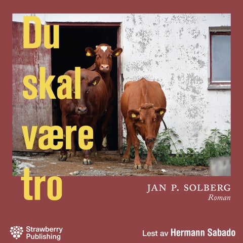 Du skal være tro - roman