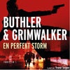 En perfekt storm