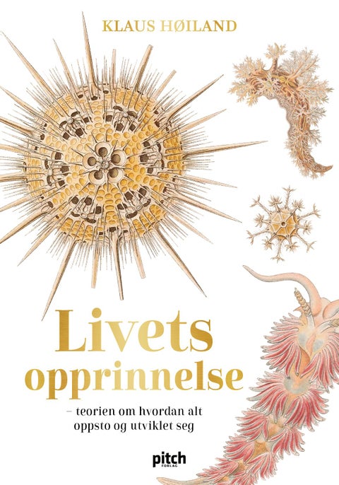 Livets opprinnelse - teorien om hvordan alt oppsto og utviklet seg