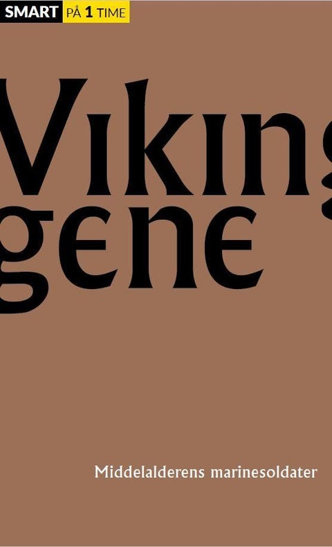 Vikingene - middelalderens marinesoldater