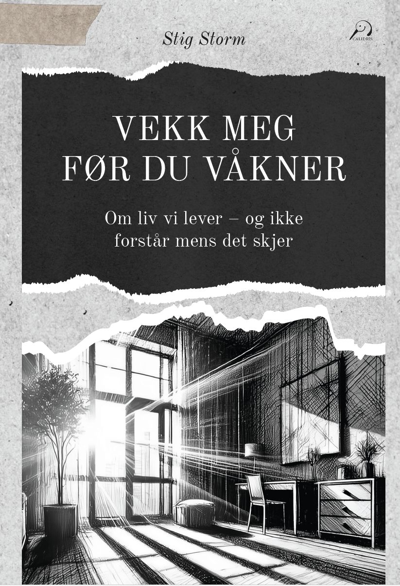 Vekk meg før du våkner - om liv vi lever – og ikke  forstår mens det skjer