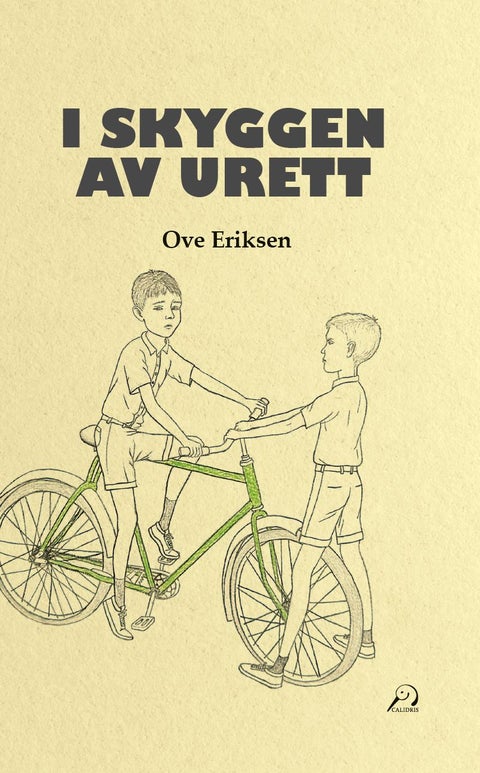 I skyggen av urett