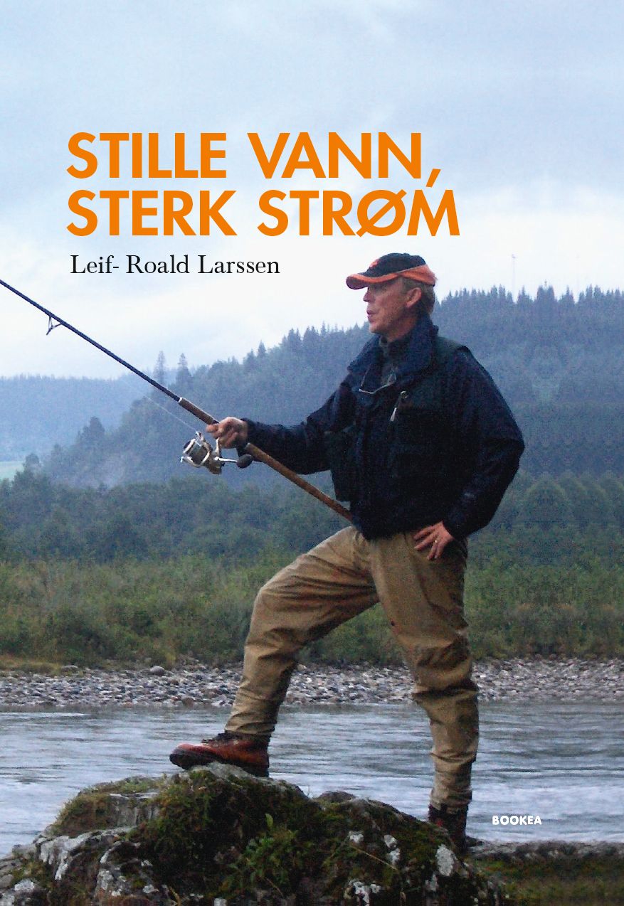 Stille vann, sterk strøm