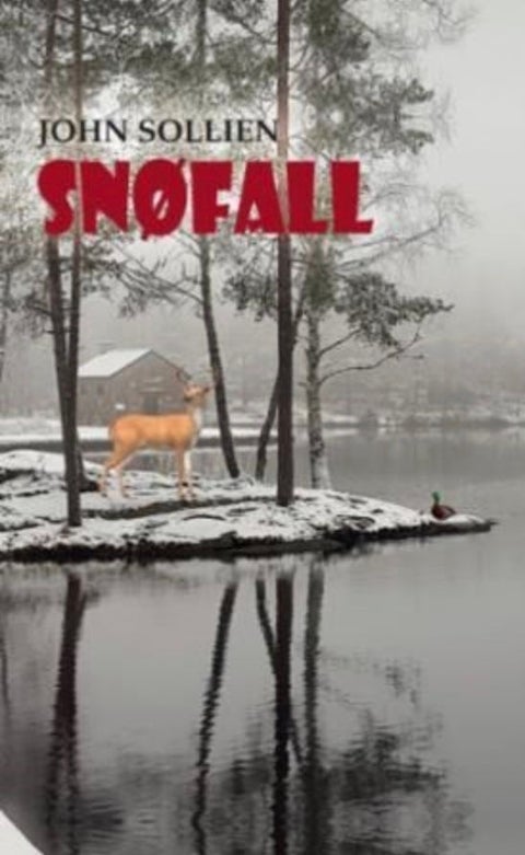 Snøfall