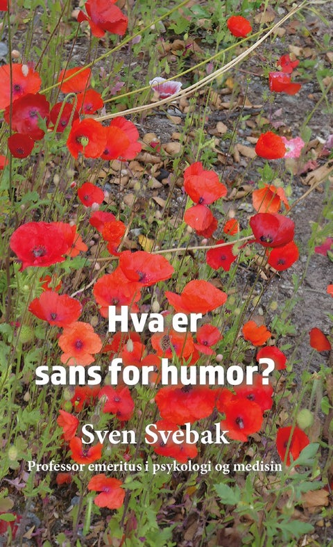 Hva er sans for humor?