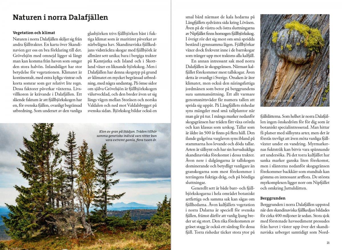 Fjällvandra kring Grövelsjön