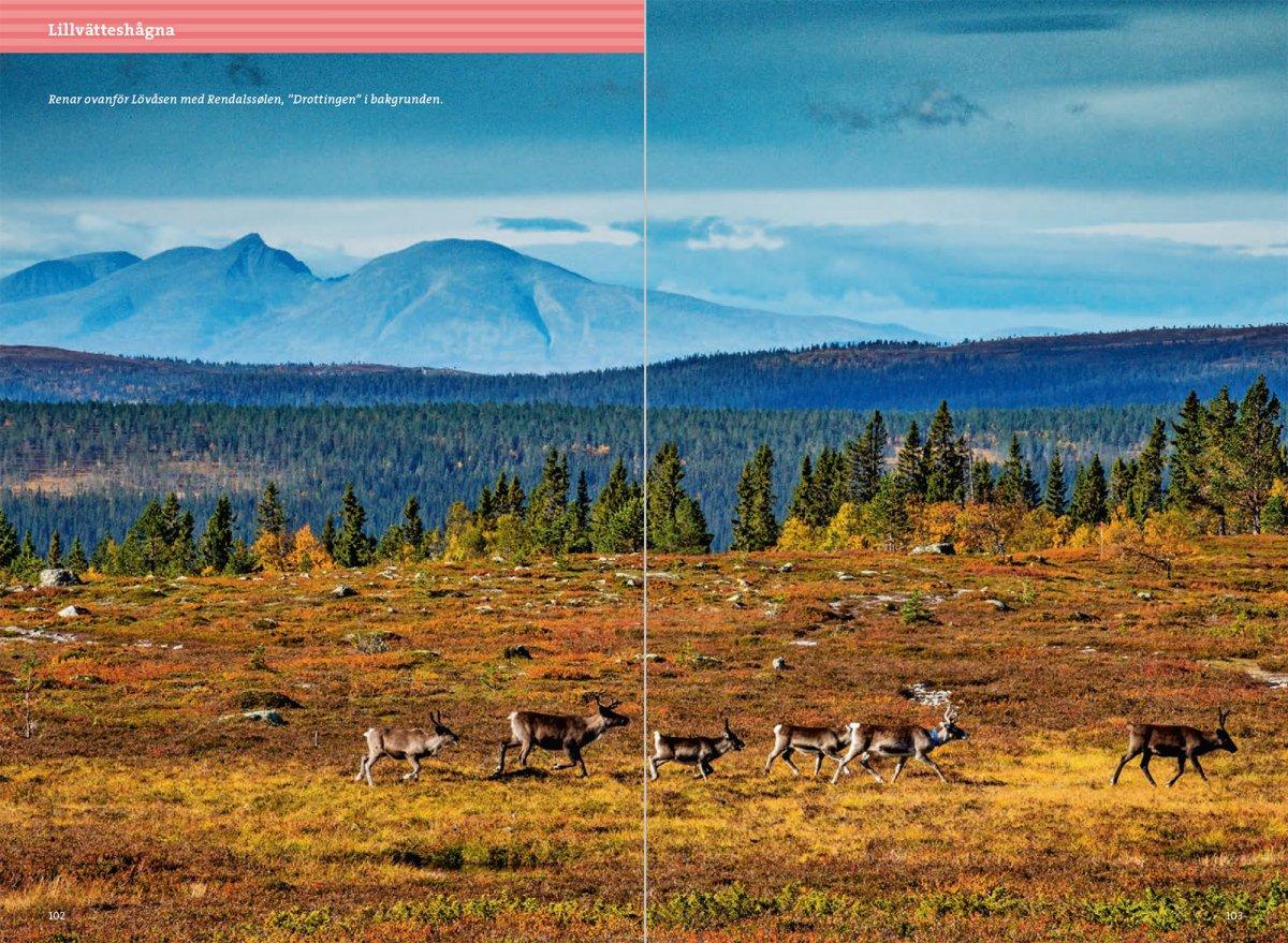 Fjällvandra kring Grövelsjön