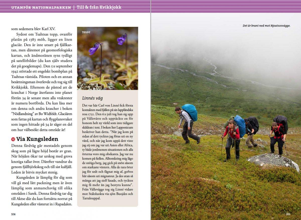 Fjällvandra i Sarek