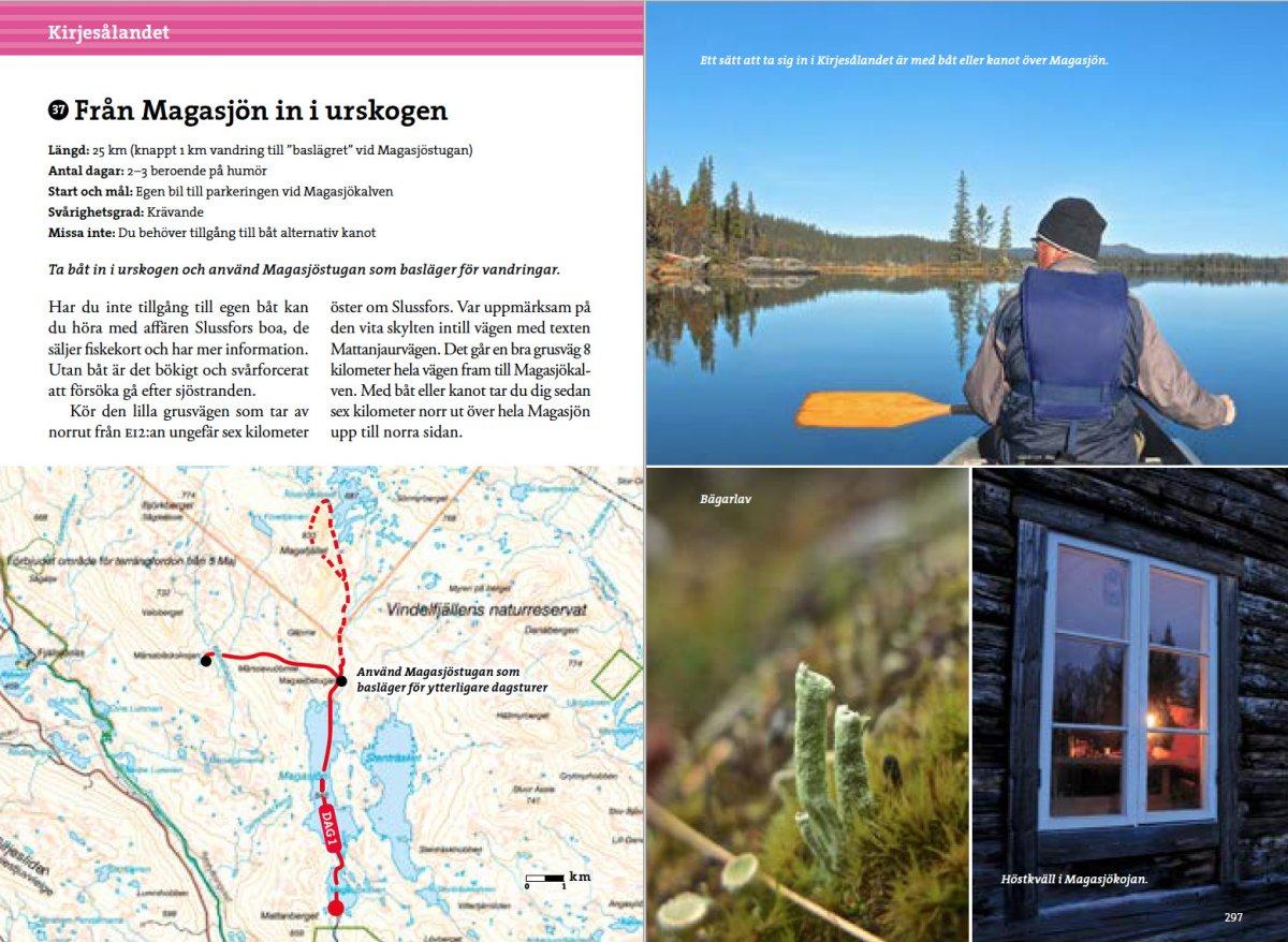 Fjällvandra i Vindelfjällen