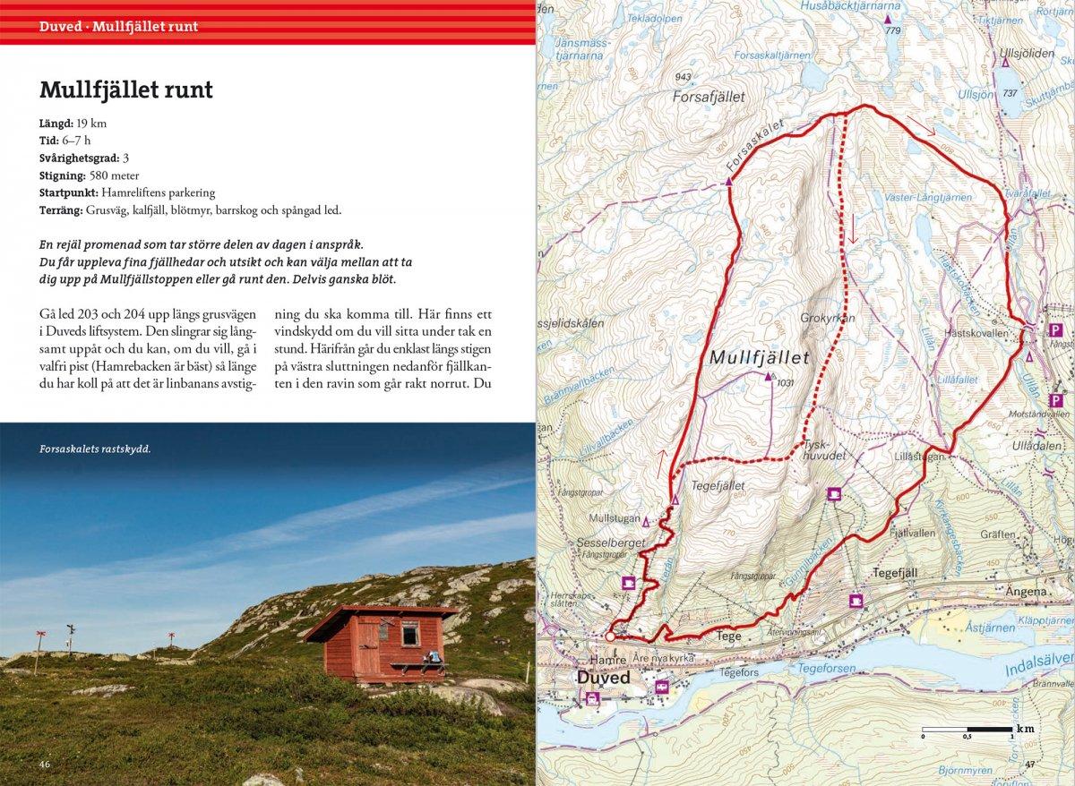 Vandra i Årefjällen