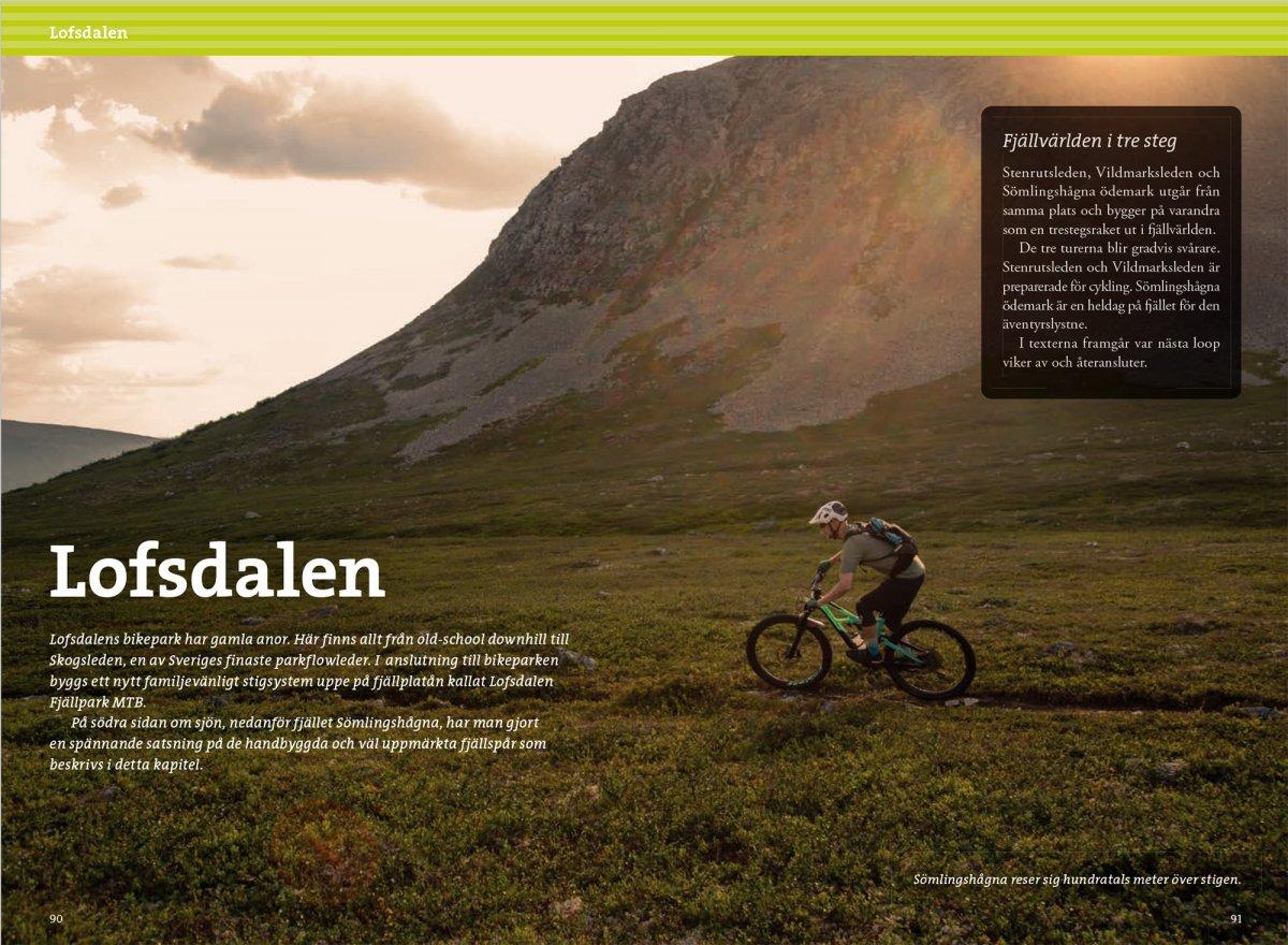 Sveriges bästa stigcykling