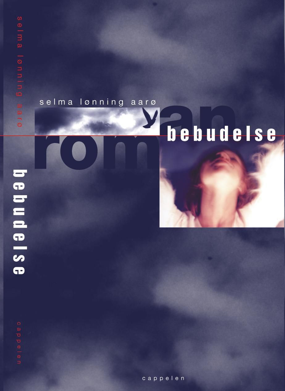 Bebudelse - roman