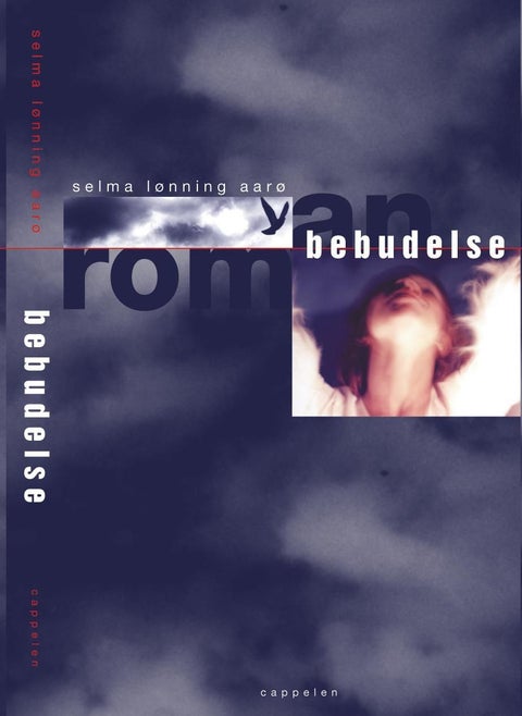 Bebudelse - roman
