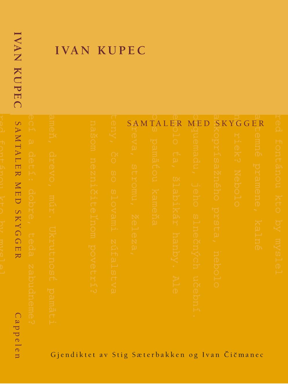 Samtaler med skygger