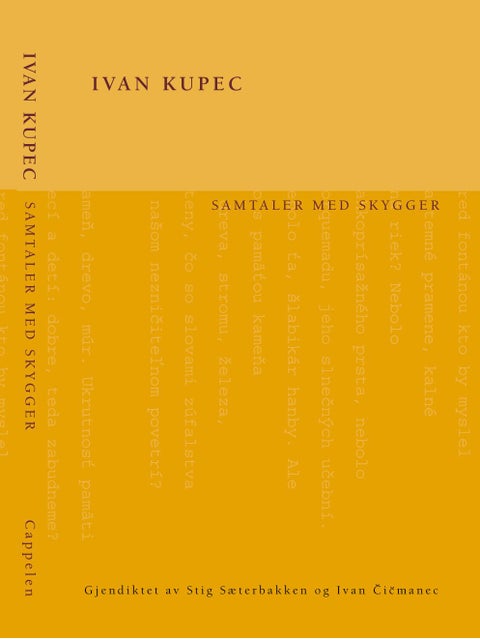 Samtaler med skygger