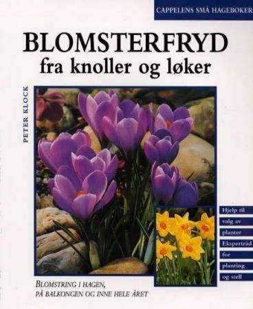 Blomsterfryd fra knoller og løker - arter, sorter, plantebruk
