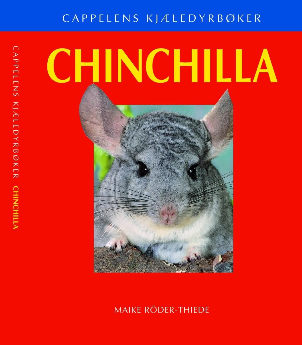 Chinchilla