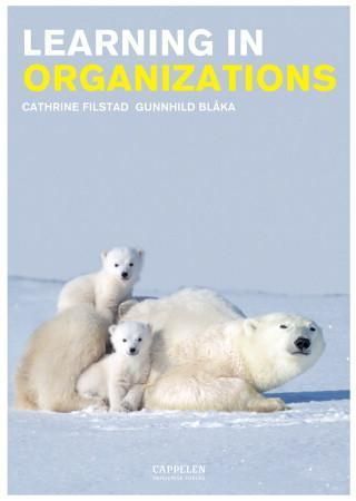 Learning in Organizations