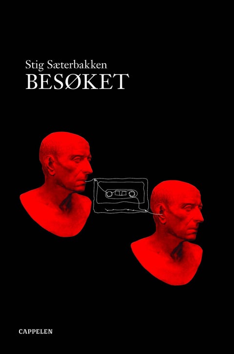 Besøket - roman