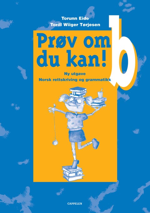 Prøv om du kan! b - ny utgave : norsk rettskriving og grammatikk