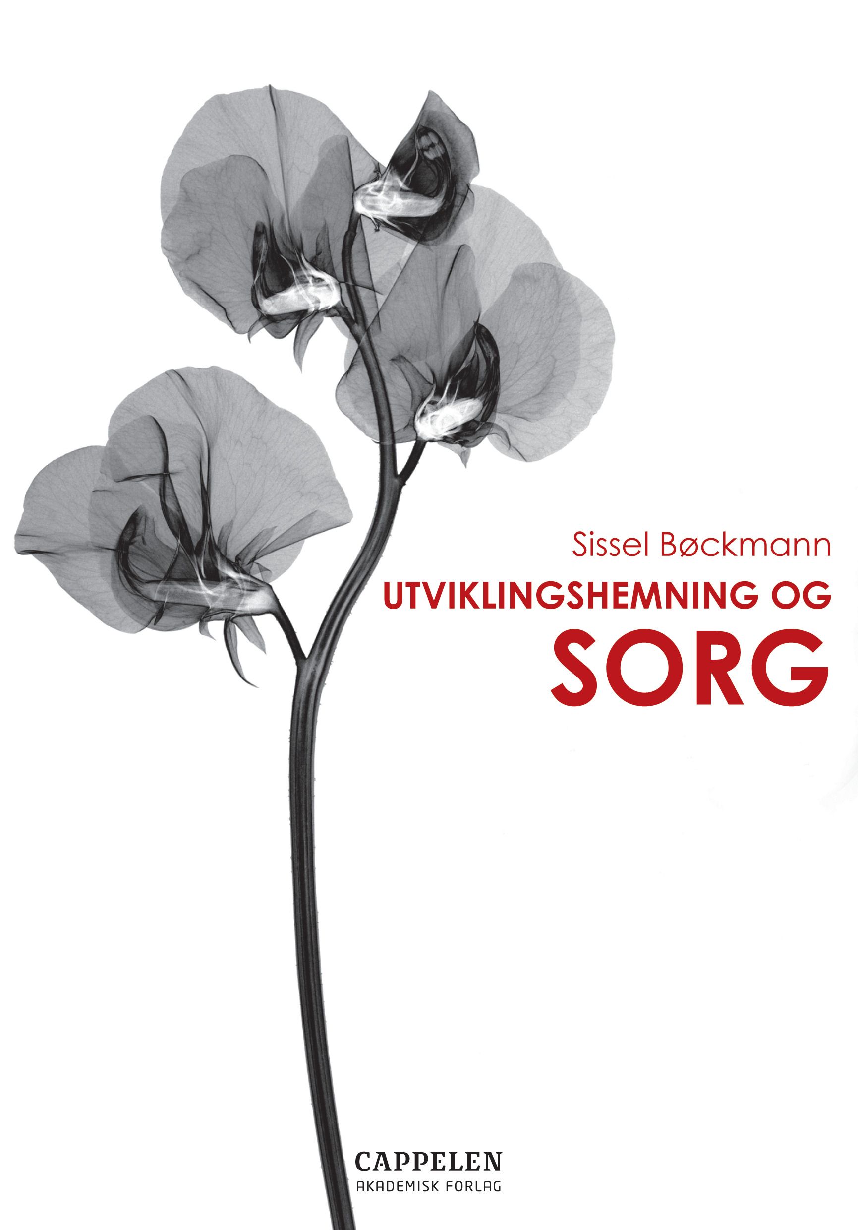 Utviklingshemning og sorg