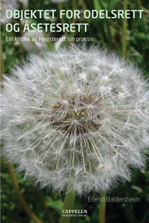 Objektet for odelsrett og åsetesrett - ein kritikk av Høgsterett sin praksis